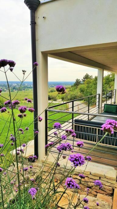 La Maison De L'Ecu : Charme Et Vue Incroyable โบน ภายนอก รูปภาพ