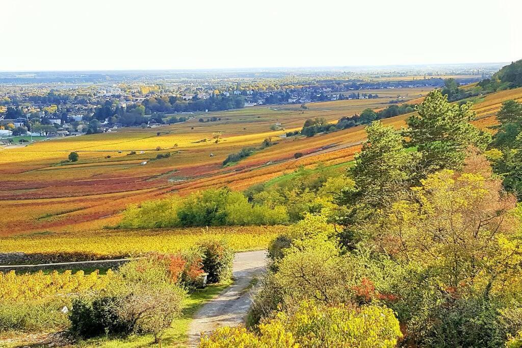 La Maison De L'Ecu : Charme Et Vue Incroyable โบน ภายนอก รูปภาพ